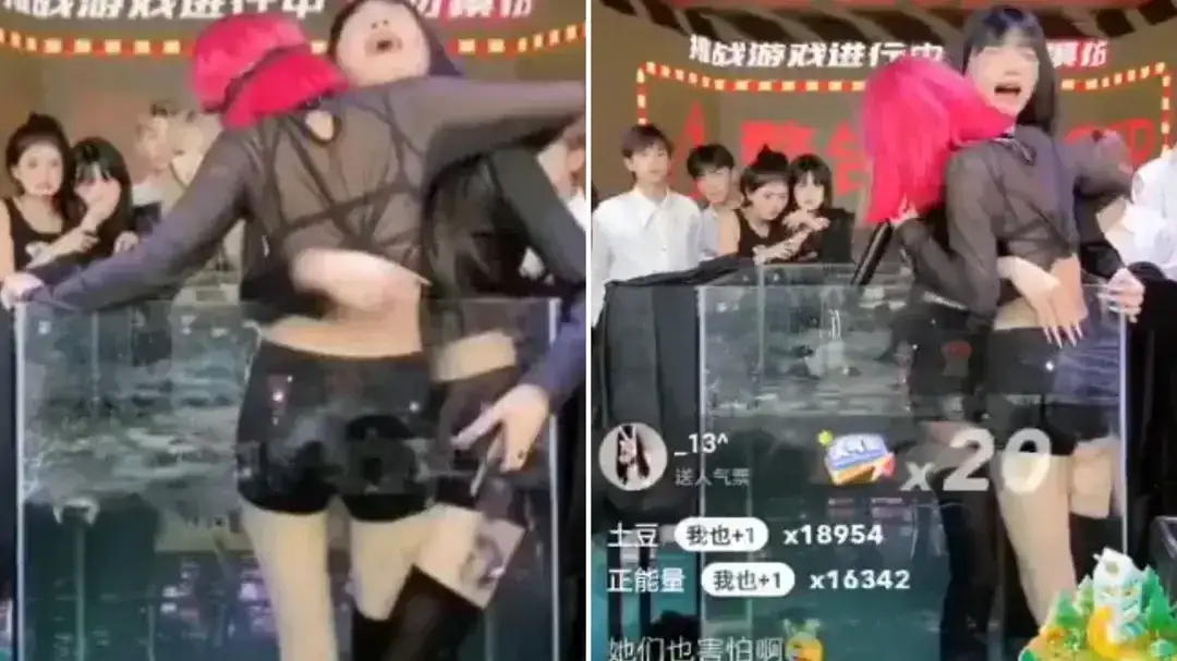 Influenciadora chinesa banida crocodilo streamers: Night Paris forçou colegas a tanque de crocodilos