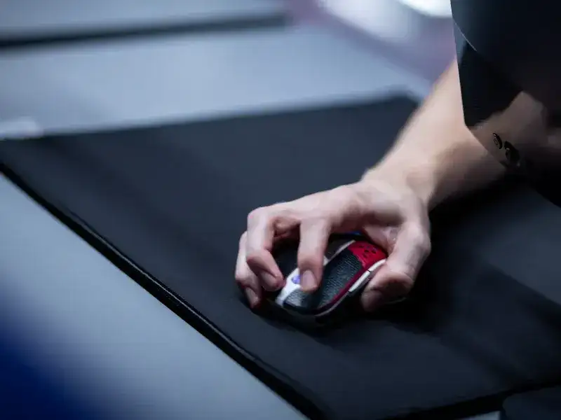 Fragadelphia bane equipe