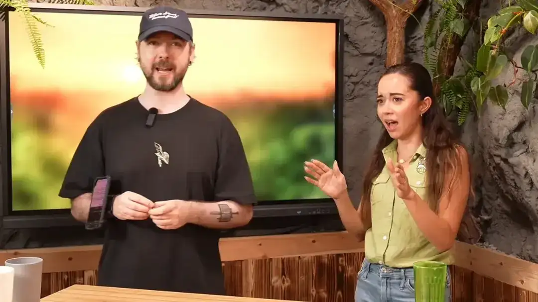 Maya Higa chora após Jacksepticeye doar US$ 100 mil para o Alveus Animal Sanctuary